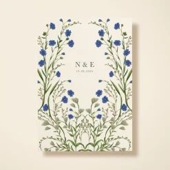 Cornflower
