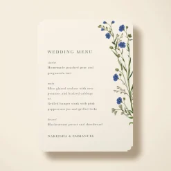 Cornflower