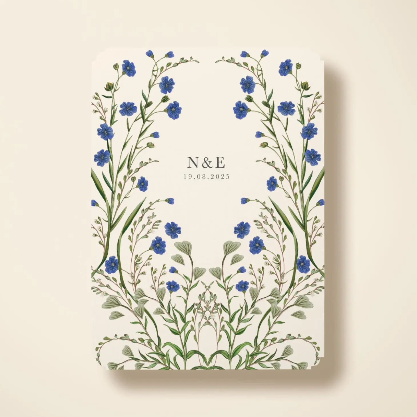 Cornflower