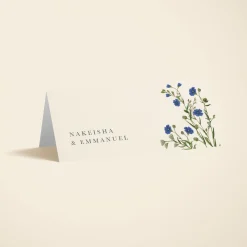 Cornflower
