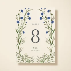 Cornflower