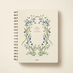 Cornflower