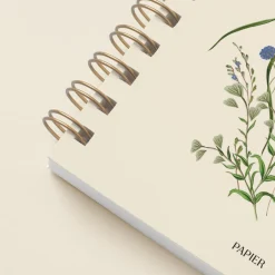 Cornflower