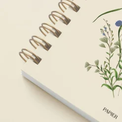 Cornflower