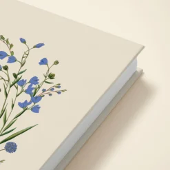 Cornflower
