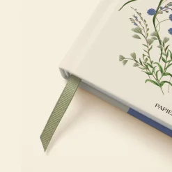 Cornflower