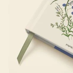 Cornflower