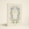 Cornflower