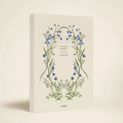 Cornflower