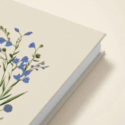Cornflower