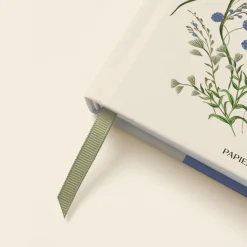 Cornflower