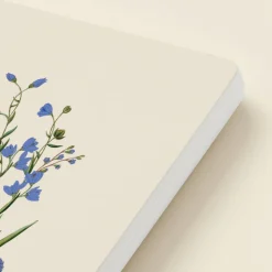 Cornflower