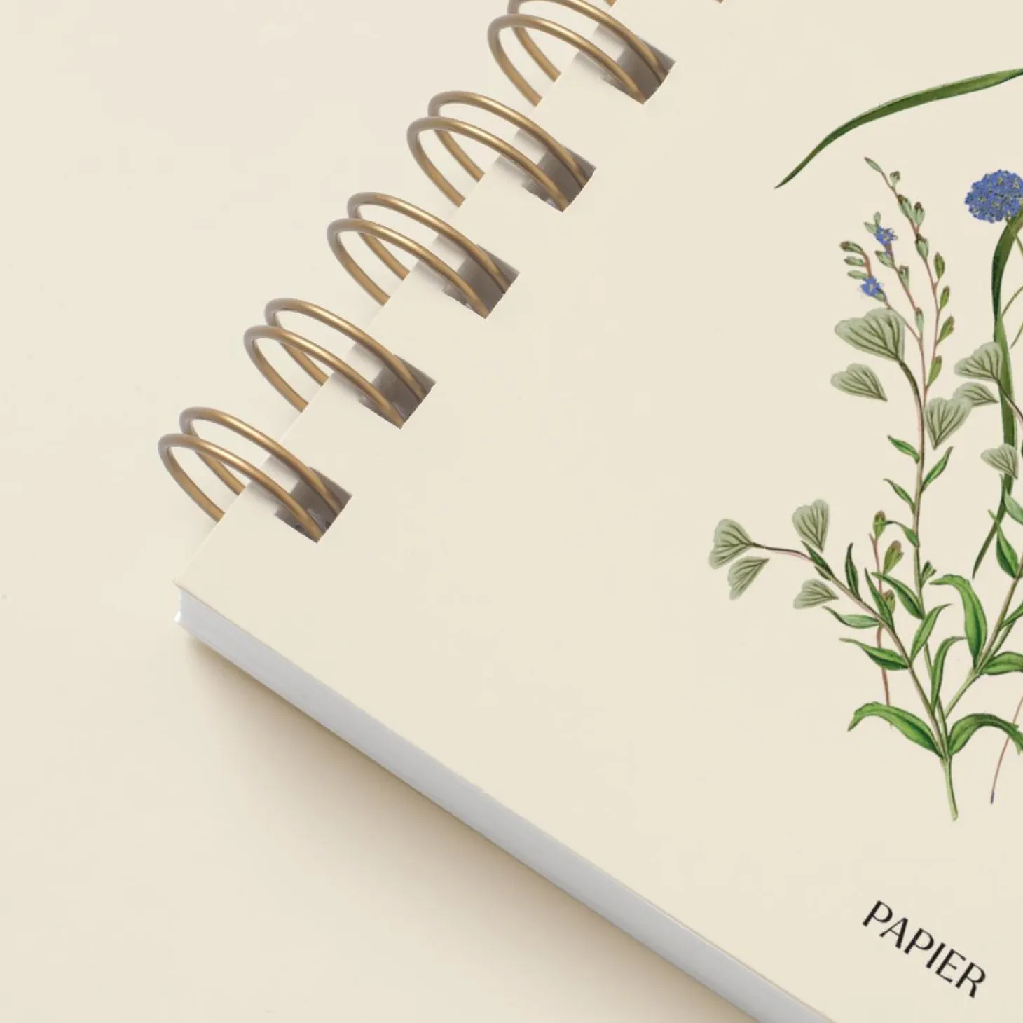 Cornflower