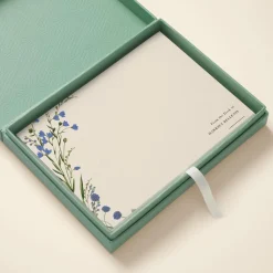 Cornflower