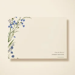 Cornflower