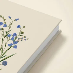 Cornflower