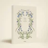 Cornflower