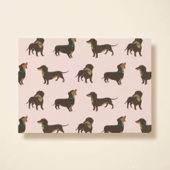 Dachshund