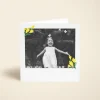 Daffodils Photo