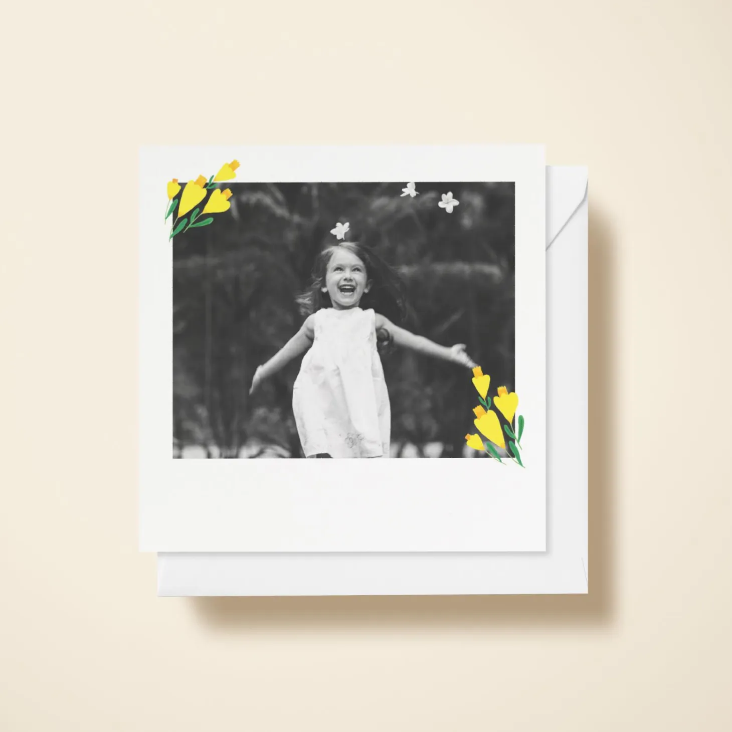 Daffodils Photo