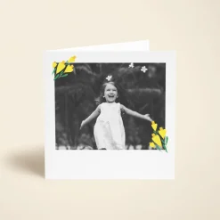 Daffodils Photo