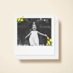 Daffodils Photo