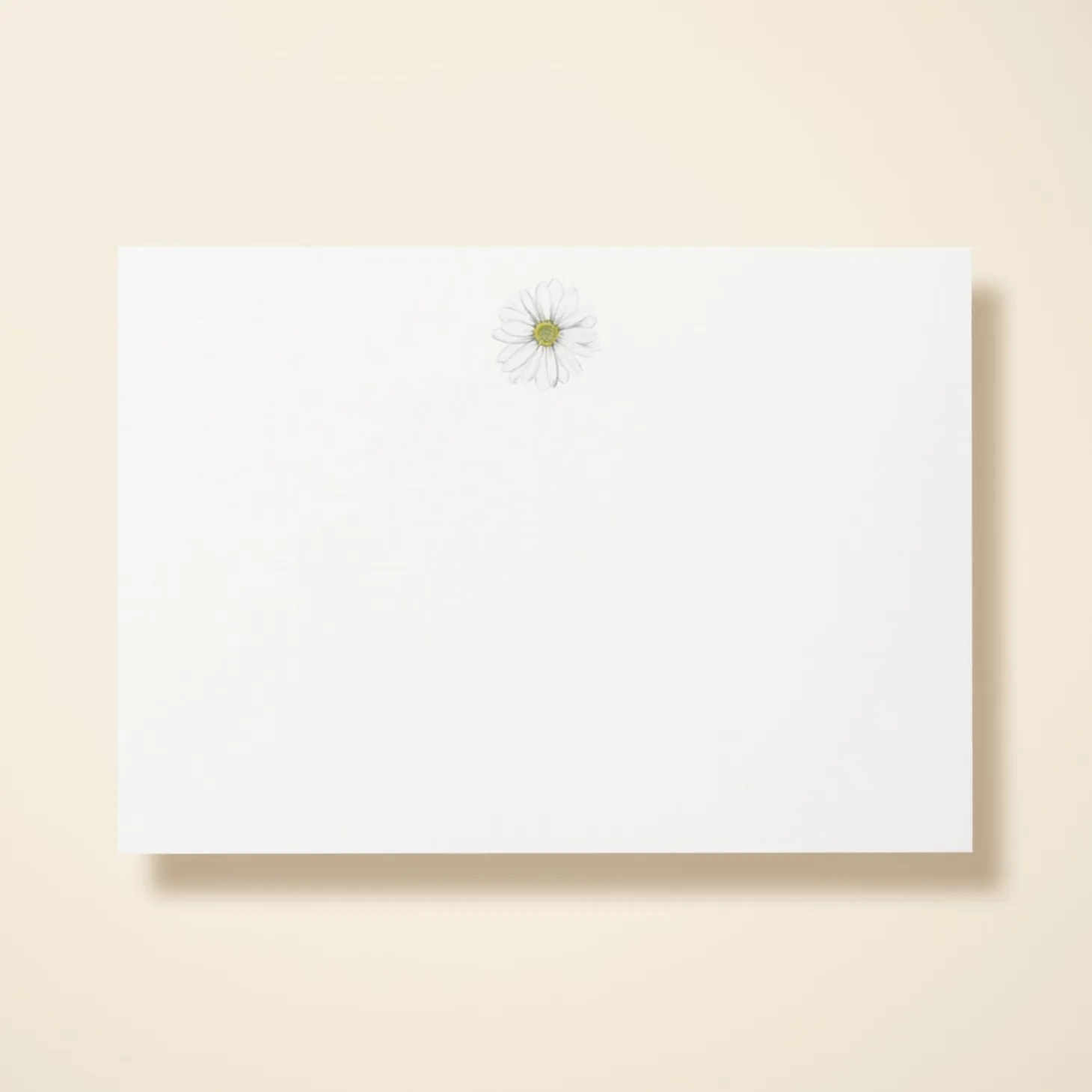 Daisy