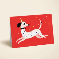 Dalmatian Celebration