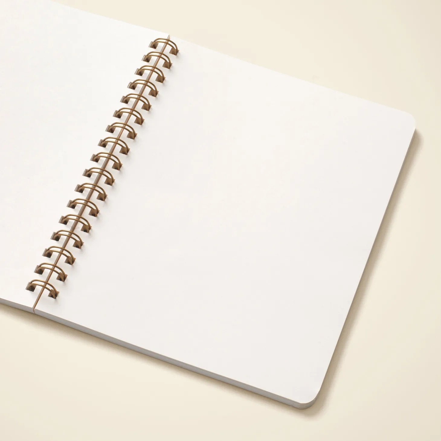 Dotted & Spotted