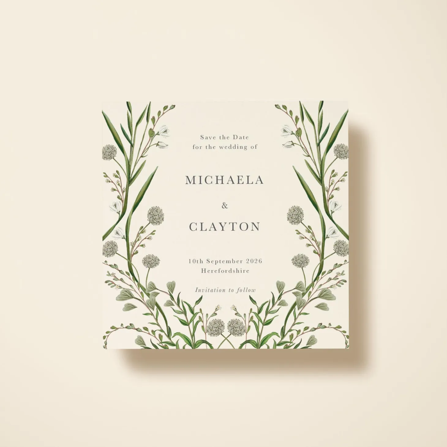 Elderflower