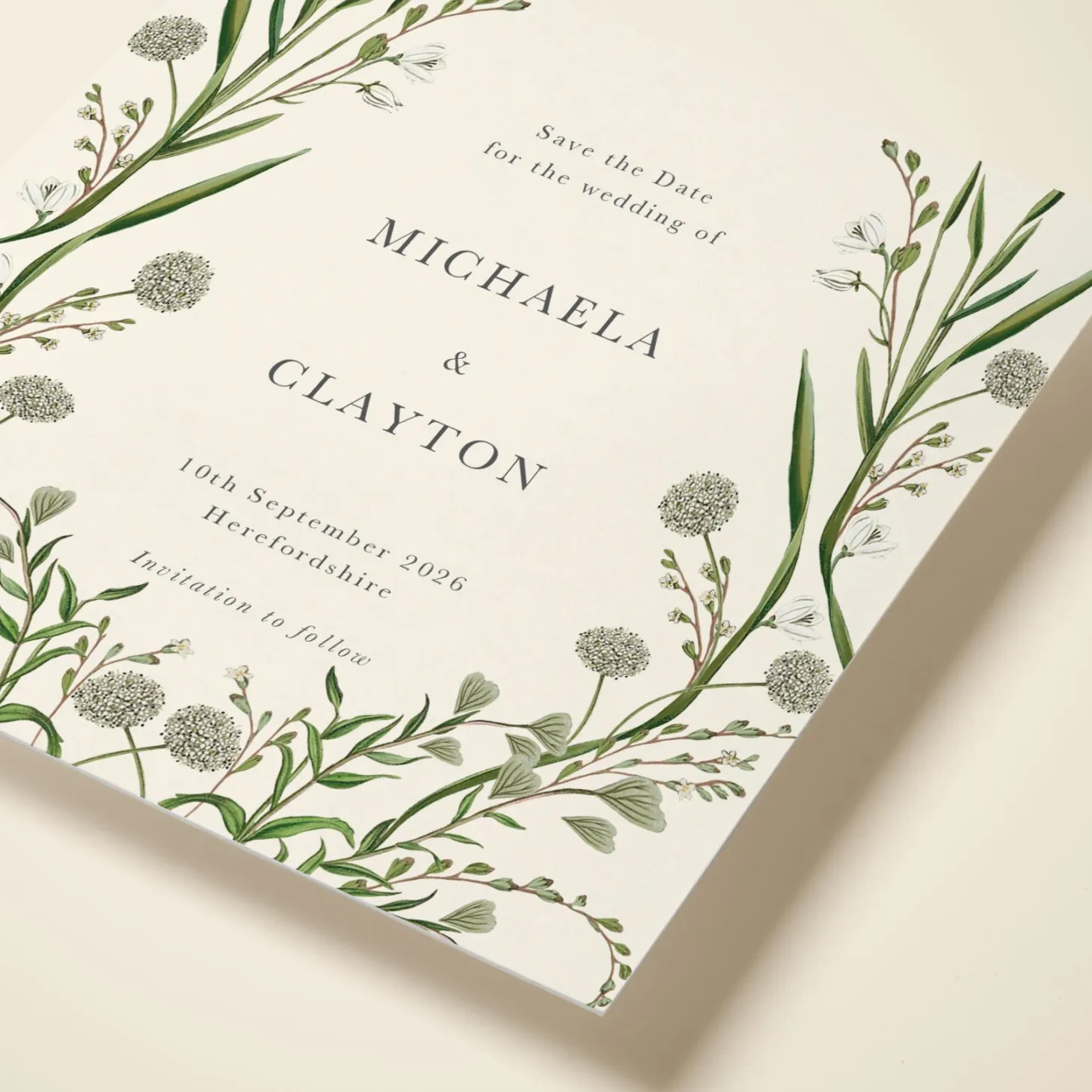 Elderflower