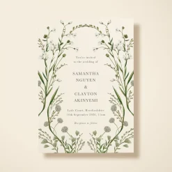 Elderflower