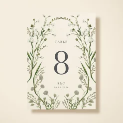 Elderflower
