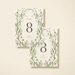 Elderflower