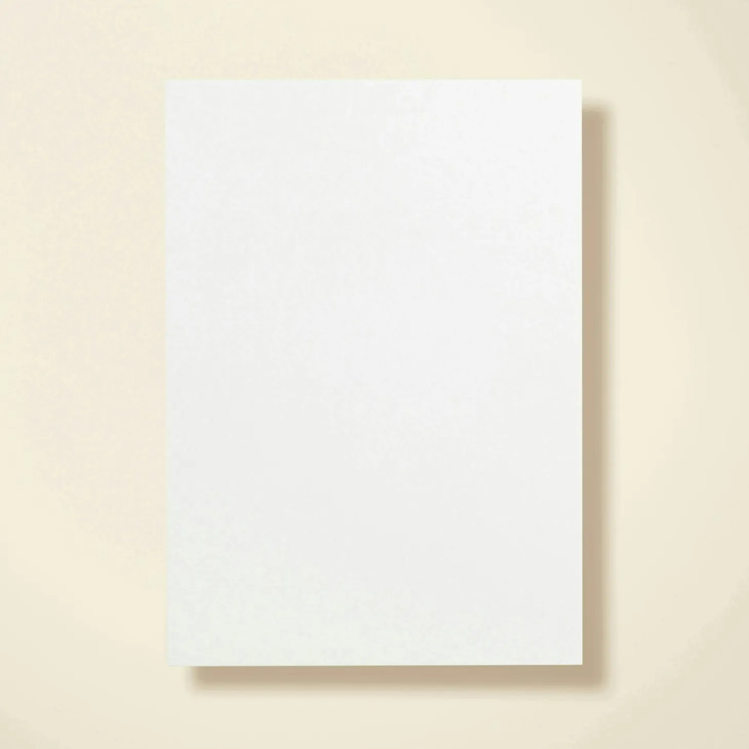 Elegant Double Border