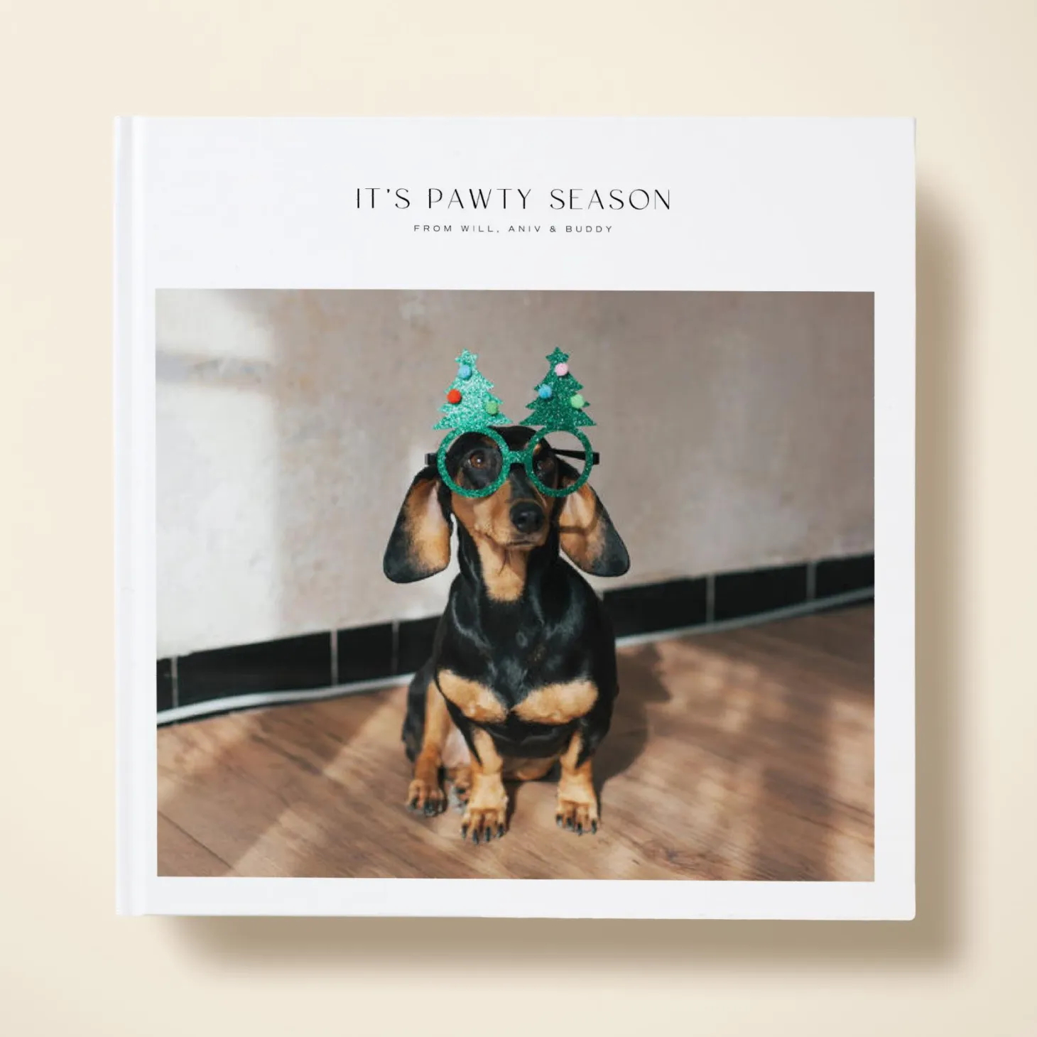 Festive Moments
