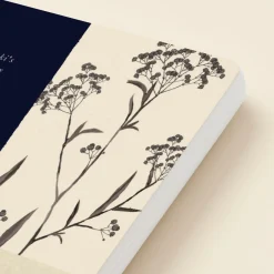 Flower Cuttings