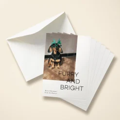 Furry and Bright