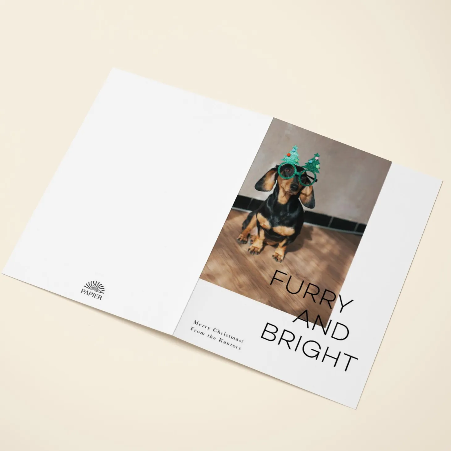 Furry and Bright