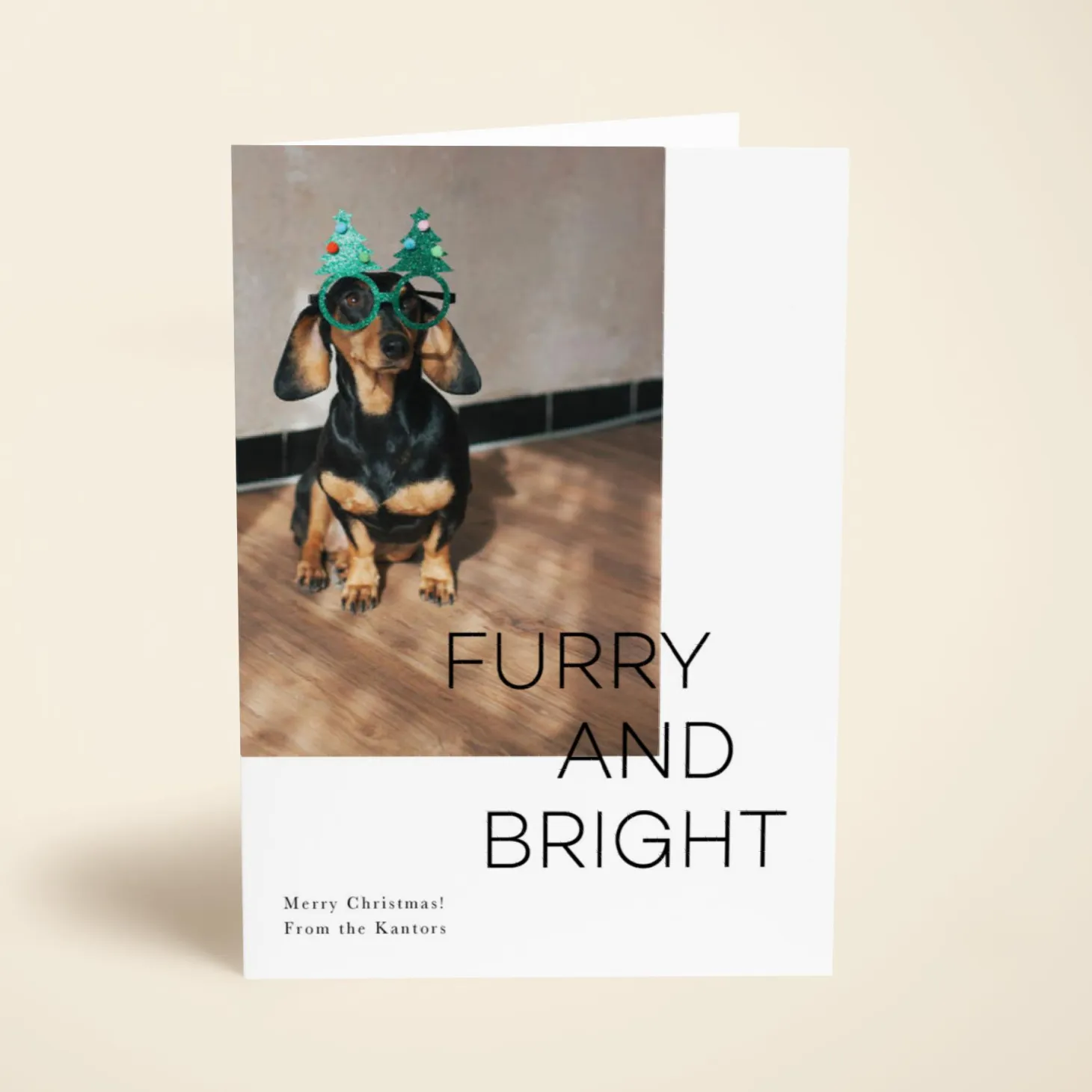 Furry and Bright