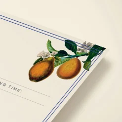 Hanging Fruits