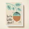 Hello Little Acorn