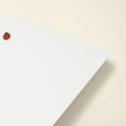 Ladybirds