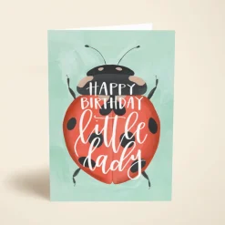 Ladybug Birthday