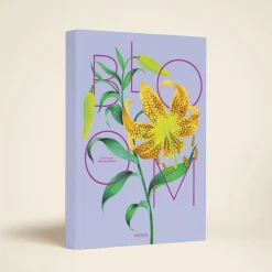 Lily in Bloom