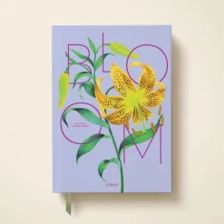 Lily in Bloom