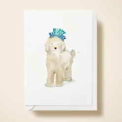 Lucy Dog Birthday