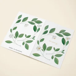 Magnolias