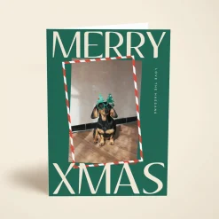 Merry Xmas Photo