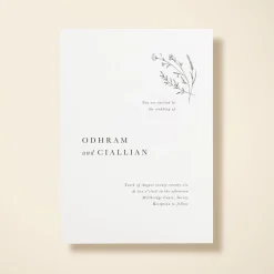 Modern Sprig